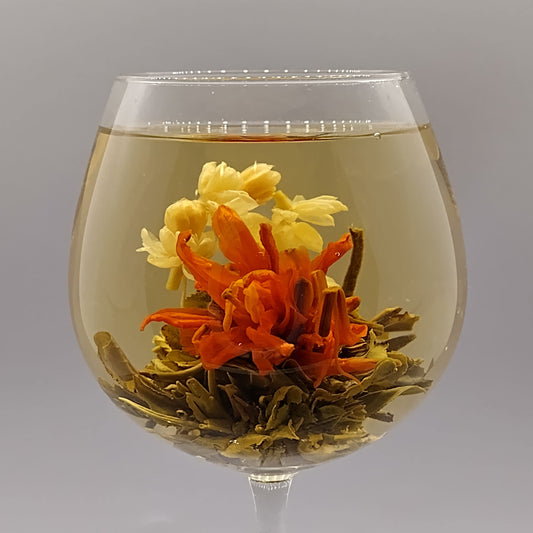 Jasmine Lily