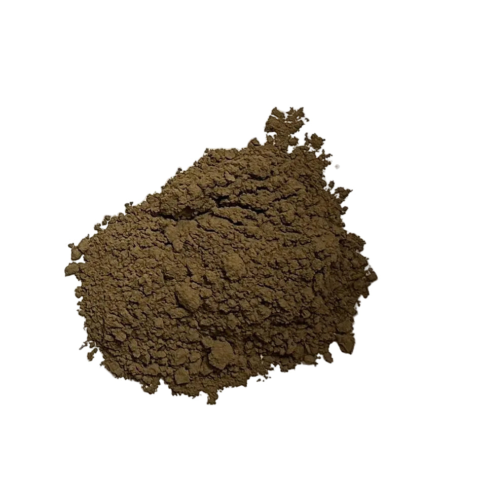 Shizuoka Hojicha